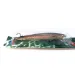   Rebel Excalibur Ghost Minnow, 1/4oz Rainbow Trout fishing lure #10532