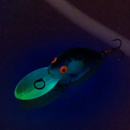 Vintage Bill Dance Signature Bomber Fat A , 2/3oz fishing lure #10903