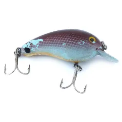 Cotton Cordell Big O