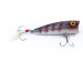 Vintage   Rebel POP-R, 1/4oz  fishing lure #11411