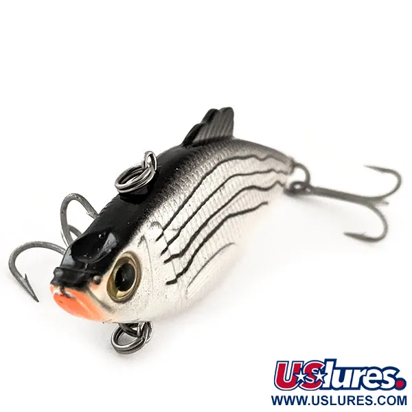 Bass Pro Shops XTS Rattle Shad