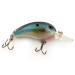 Vintage   Renegade Crank , 1/3oz Rainbow fishing lure #12097