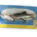   Renosky Lures Baby Swiss Lunker 4, 1oz  spinning lure #13556
