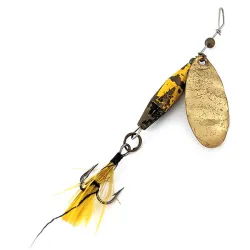 ​Glen Evans Shyster