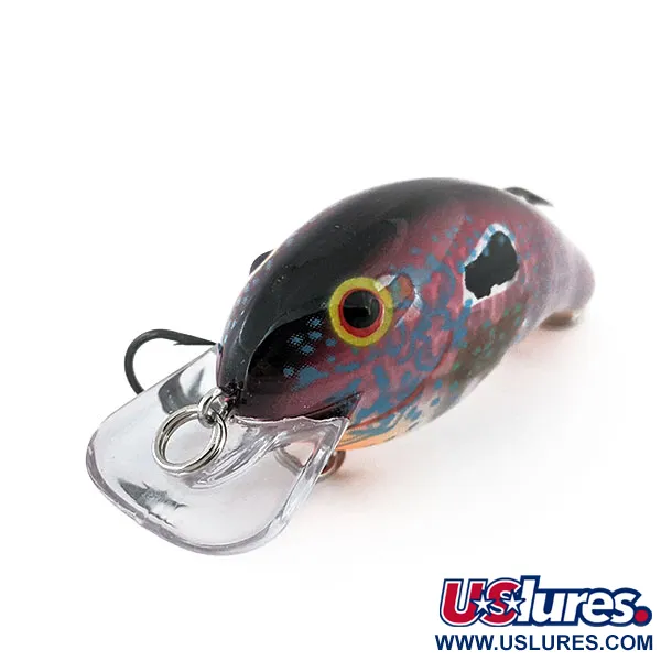  Bandit Rackit Squarebill