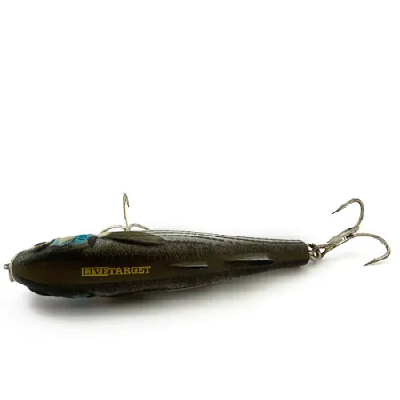 Vintage LiveTarget  Live Target Mullet Walking, 3/4oz fishing lure #16073
