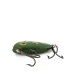 Vintage  Atlantic Lures Atlantic lures Swanee, 3/16oz Frog fishing lure #18616