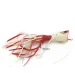 Vintage   Fred Arbogast Hula Popper, 3/32oz red/ white fishing lure #18911