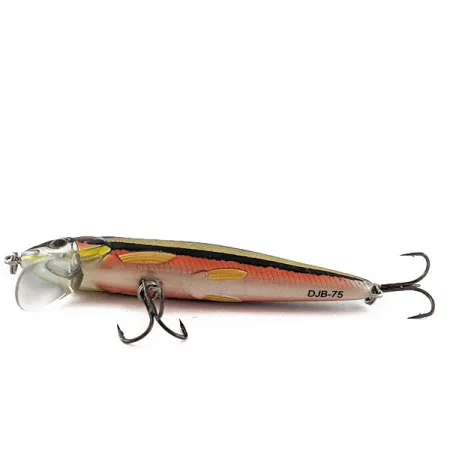 Vintage LiveTarget Minnow Jerkbait DJB-75, 1/4oz fishing lure #19124