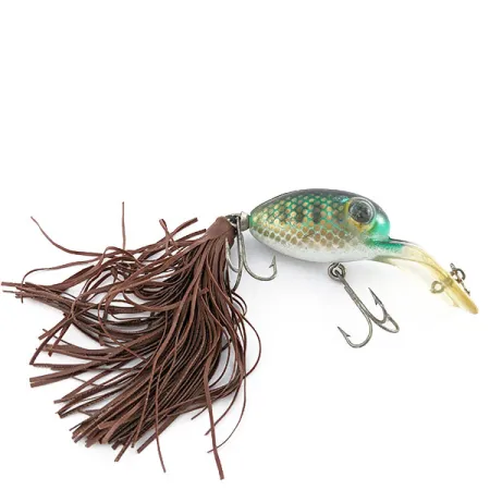 Fred Arbogast Bug eye