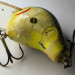 Vintage  Bagley Bait Bagley Balsa B , 2/5oz  fishing lure #21460