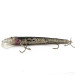 Vintage   Strike King Wild Shiner, 1/2oz  fishing lure #21938