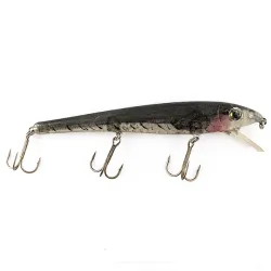 Strike King Wild Shiner