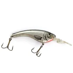 Reef Runner Ripshad
