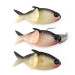  Creme Lure Co Creme Lit'l Fishie 2" Rigged Shad Black Back Pink,  Shad Black Back, Pink fishing #21970