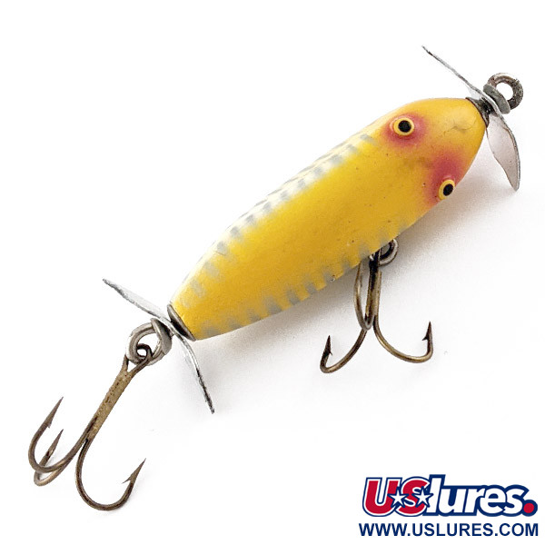 Creek Chub Injured Minnow 