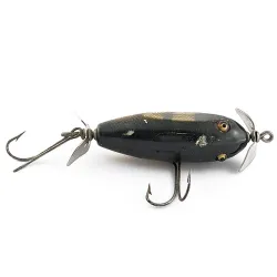 Creek Chub Injured Minnow glass eyes