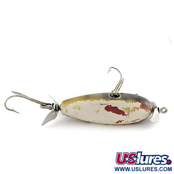Creek Chub Injured Minnow glass eyes