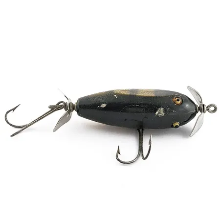 Creek Chub Injured Minnow glass eyes