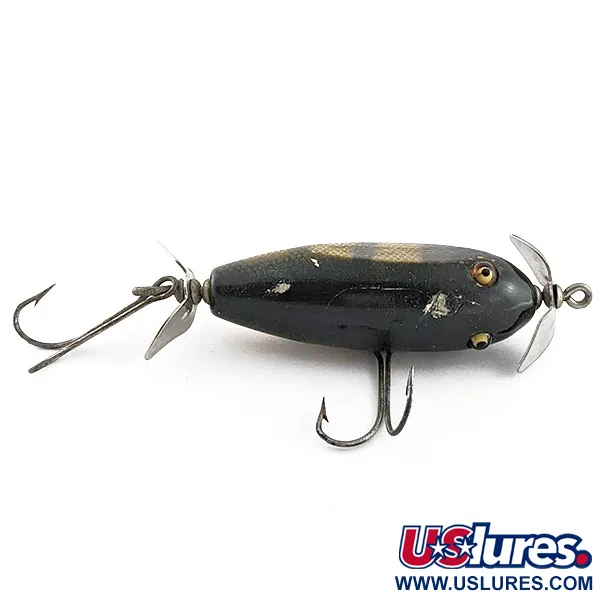 Creek Chub Injured Minnow glass eyes