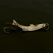 Vintage   Acme Phoeb, 3/16oz gold fishing spoon #23612