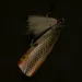 Vintage   Rebel POP-R g finish, 1/4oz g finish fishing lure #23743