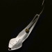 Vintage  Tony Accetta Tony Acetta Pet Spoon 15, 1oz nickel fishing spoon #23922