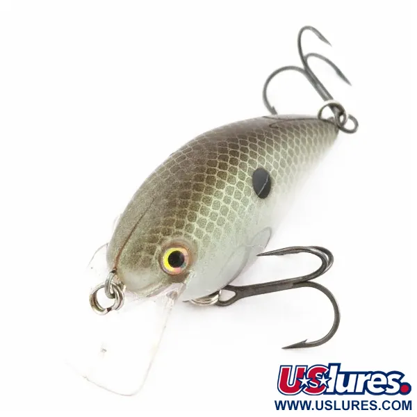 Vintage   Strike King KVD 1.5 Silent square bill, 2/5oz Olive Sexy Shad fishing lure #24028