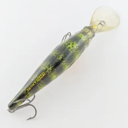 Vintage LiveTarget  LIVE TARGET Yellow Perch Deep Diving, 1 1/4oz Yellow Perch fishing lure #24232