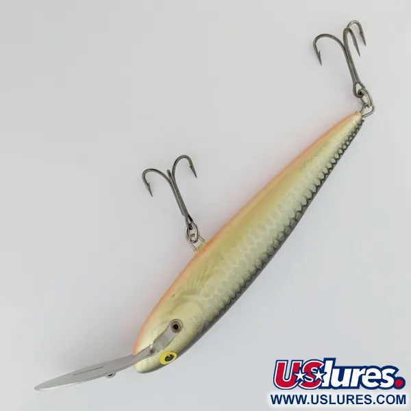 Salmo Whitefish 13 metal lip