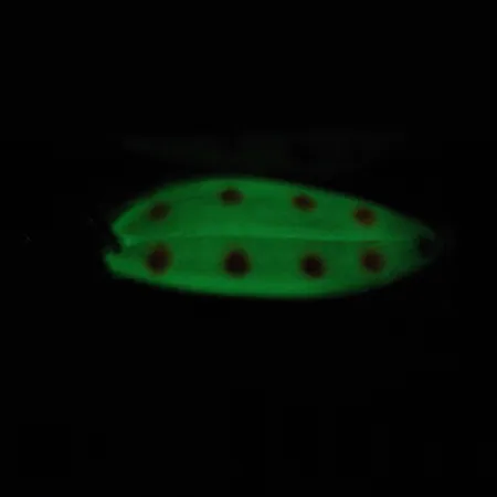 TODDCO Main liner, 2/5oz Glow (Glow in Dark) fishing spoon #2381