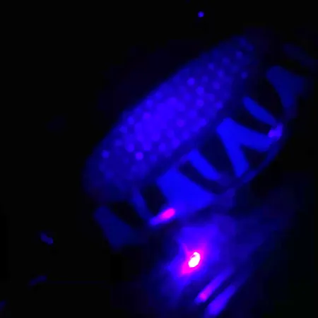 Blue Fox Rattlin Pixee UV, 3/4oz Nickel / Blue fishing spoon #4556