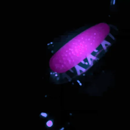 Blue Fox Pixee UV, 1/2oz Nickel / Pink fishing spoon #4558