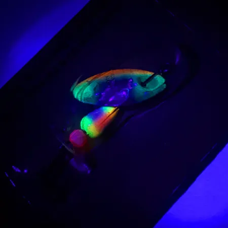 Panther Martin 2, 3/32oz Rainbow Trout spinning lure #4602