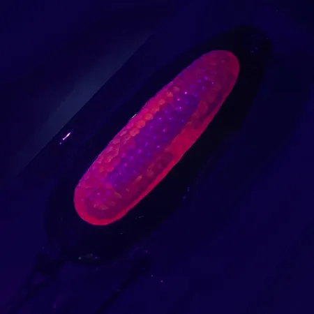 Blue Fox Rattlin Pixee UV, 1/2oz Golden / Red fishing spoon #4749