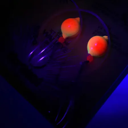 Northland Live Fishing Bait Roach Rig UV, Orange / Fluorescent fishing #5967