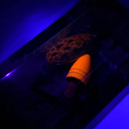 Luhr Jensen Fire Max Miracle 2 UV, 1/4oz Shrimp spinning lure #6044