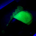  Luhr Jensen Tee Spoon, 1/2oz Green / Fluorescent Yellow Glow in UV light, Fluorescent spinning lure #6069