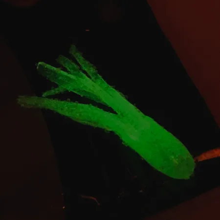 Bass Pro Shops soft bait Glow , White Glow in Dark fishing #6094