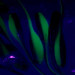   Bobby Garland Baby Shad UV,  Green UV Glow in UV light, Fluorescent fishing #6119