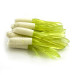  Creme Lure Co Creme Mini Tail soft bait UV,  Yellow / White / UV Glow in UV light, Fluorescent fishing #6137