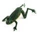 Vintage   Delong Frog, 3/16oz Green fishing #6251
