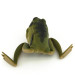 Vintage   Weedless LunkerHunt Lunker Frog, 1/2oz Frog fishing #6886
