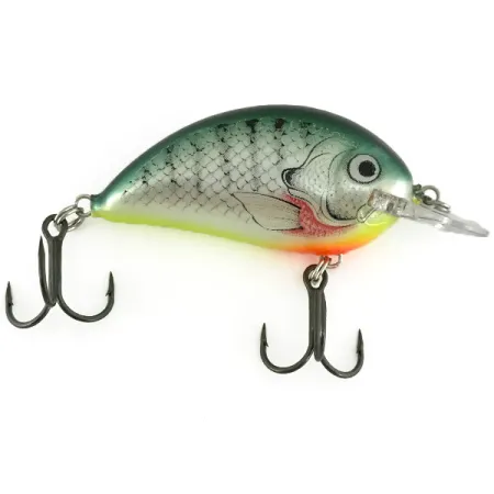 Bagley Pro Sunny B Squarebill