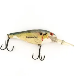 Rebel Mystic Shad R