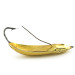 Vintage   Weedless Rapala Minnow Spoon, 1/2oz Gold fishing spoon #9092