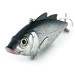   Matzuo Lipless, 1/2oz Rainbow Silver fishing lure #9487