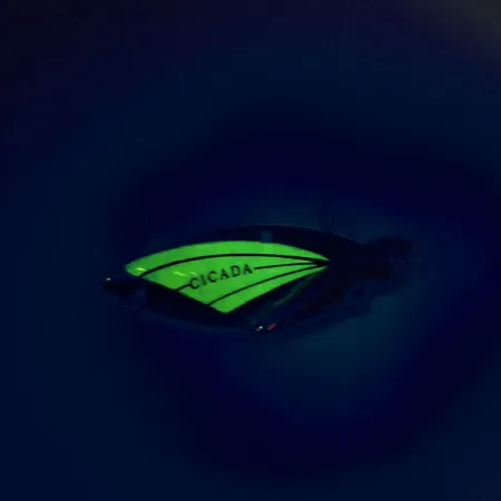 Vintage Reef Runner Cicada, 1/2oz Nickel / Green fishing spoon #9560