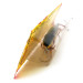   Strike King Wild Shiner, 3/5oz Gold fishing lure #9918